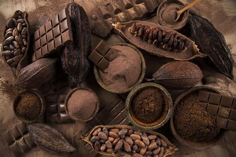 Cacao Magic and Embracing the Present Moment: A Philosophical Perspective